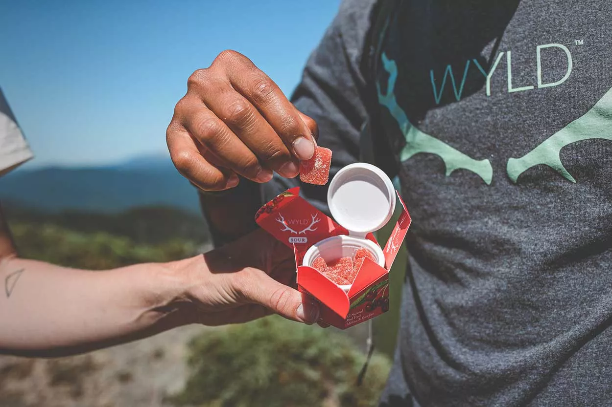 wyld edibles